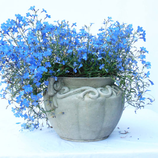 Scroll Pot