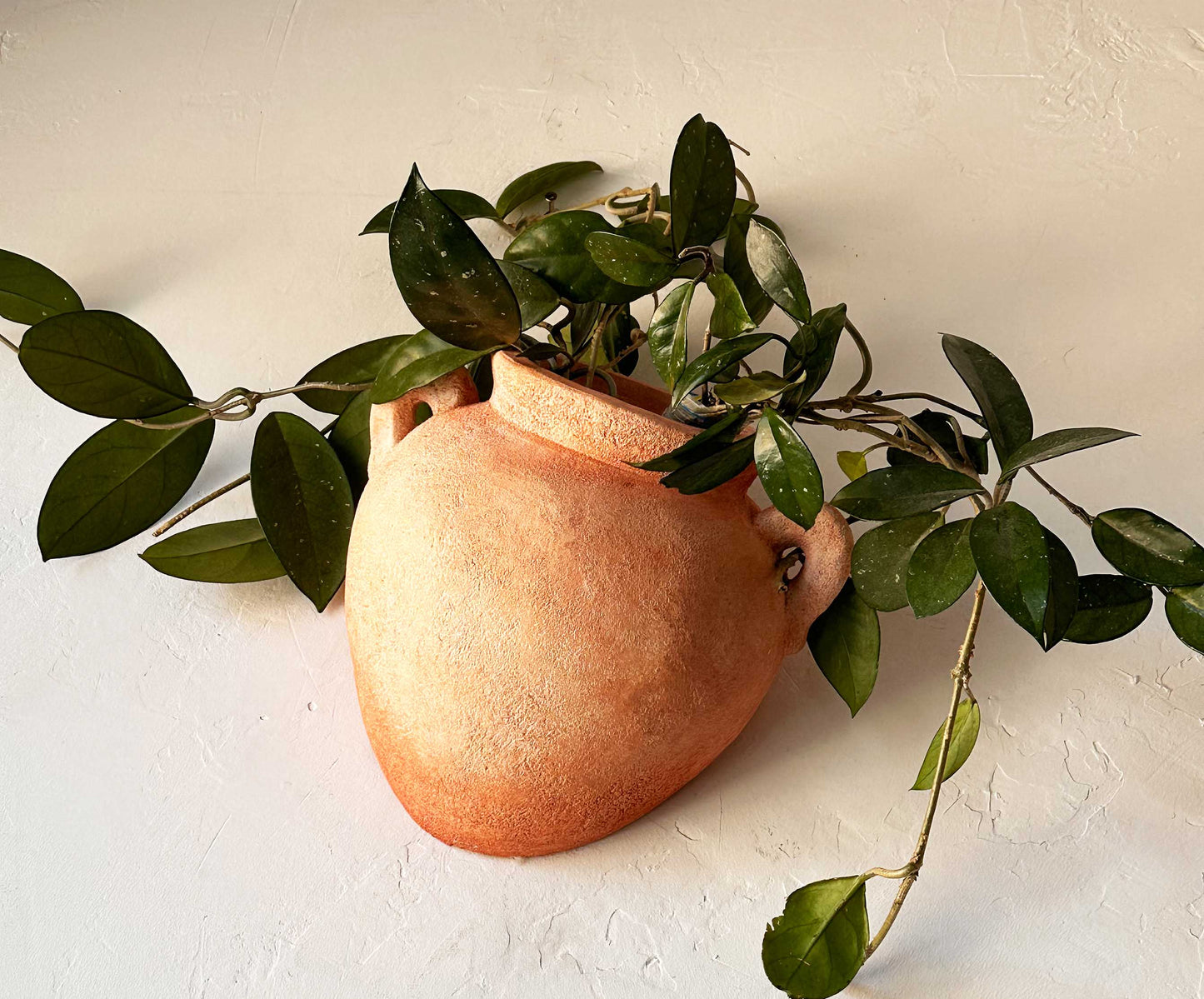 Wall Amphora Pot