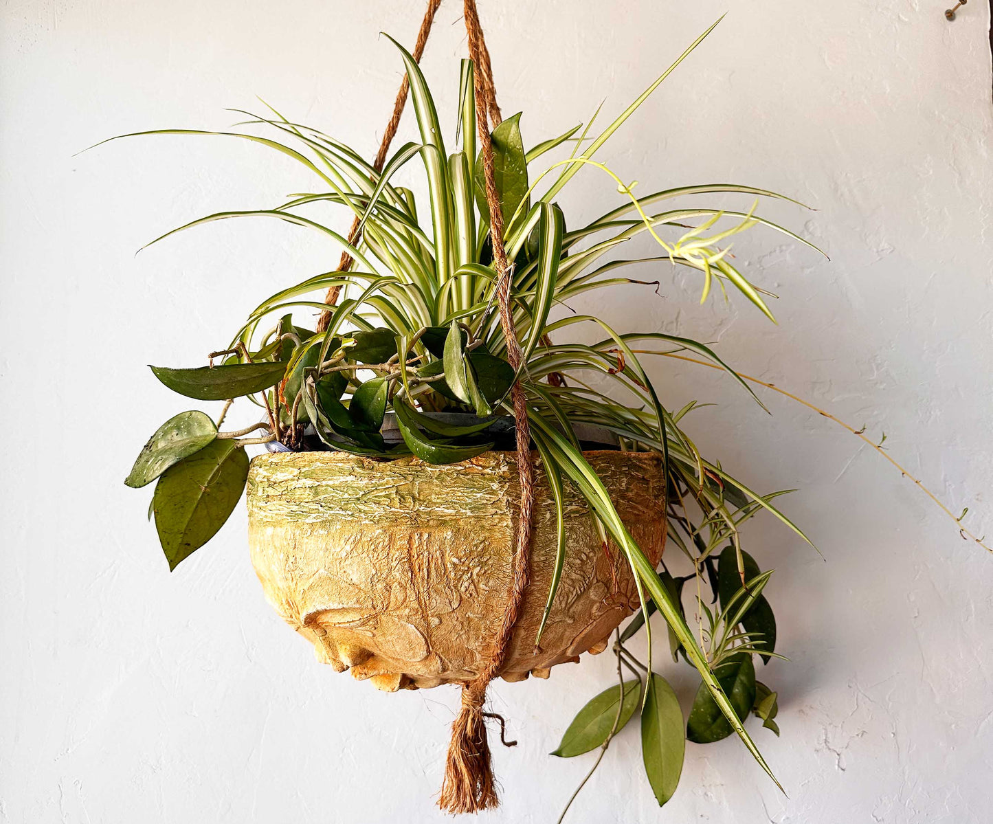 sunburst hanging planter
