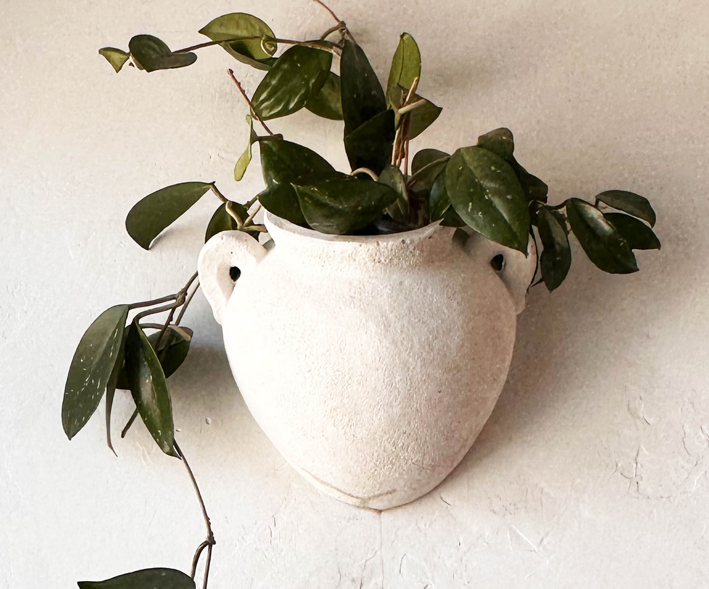 Wall Amphora Pot