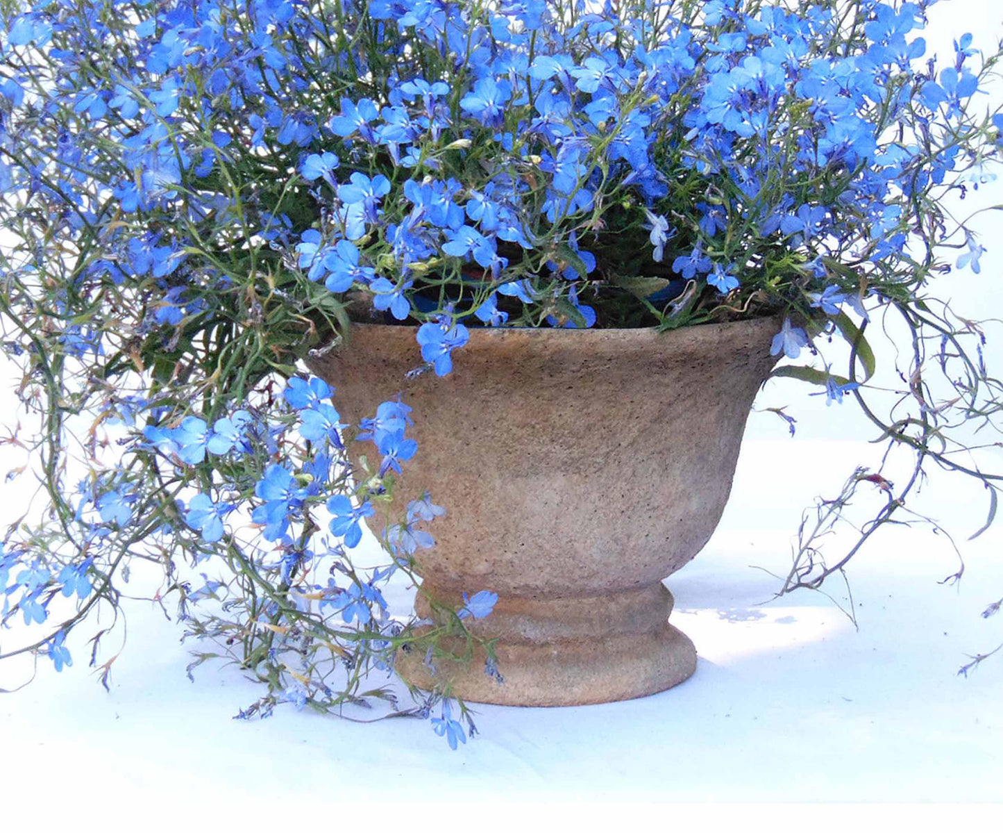 Goblet Pot Series