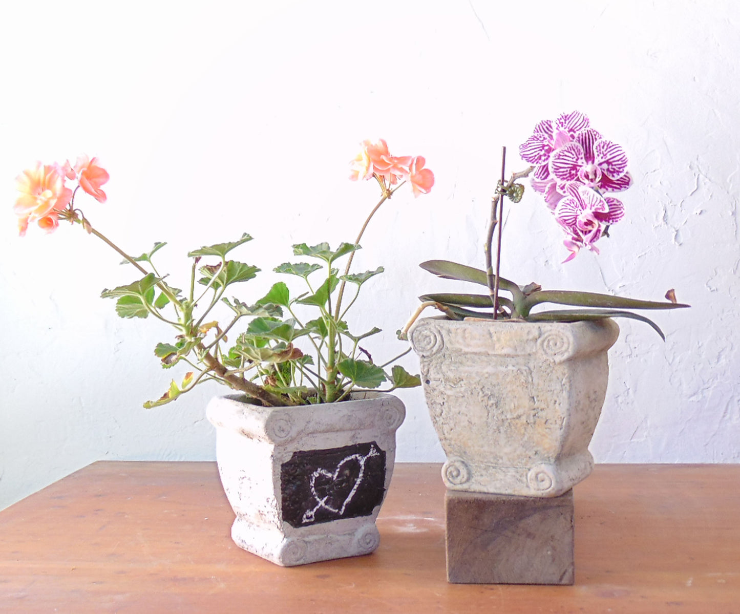 Window Boxes