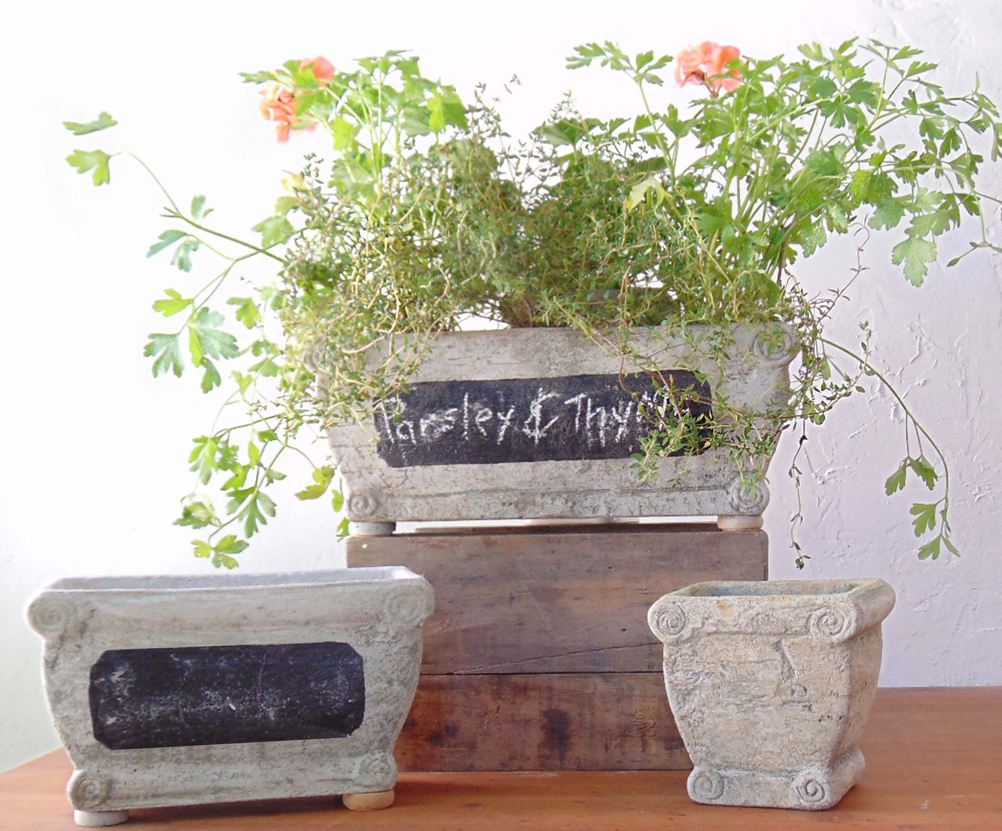 Window Boxes