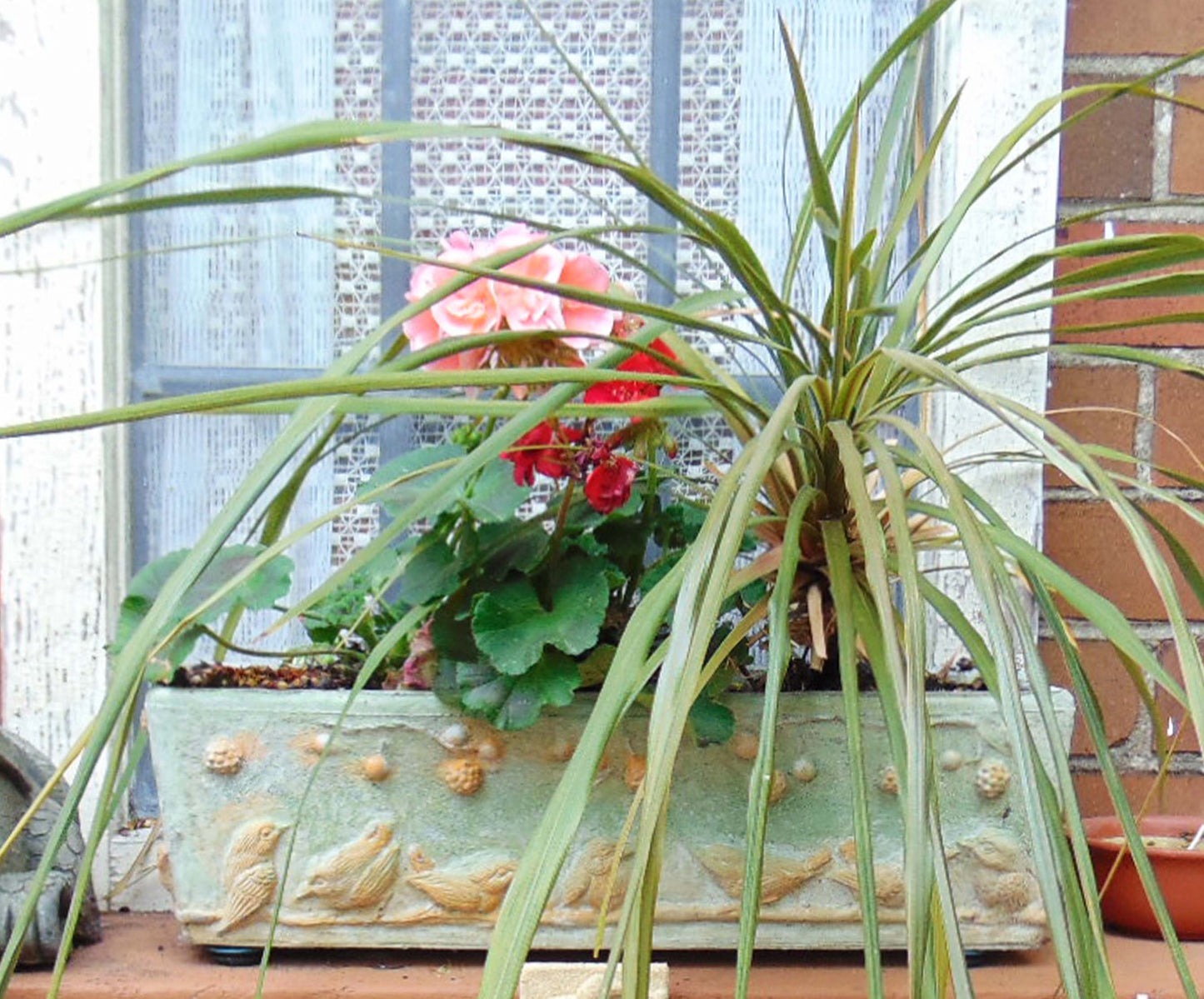 Birds Window Box Series