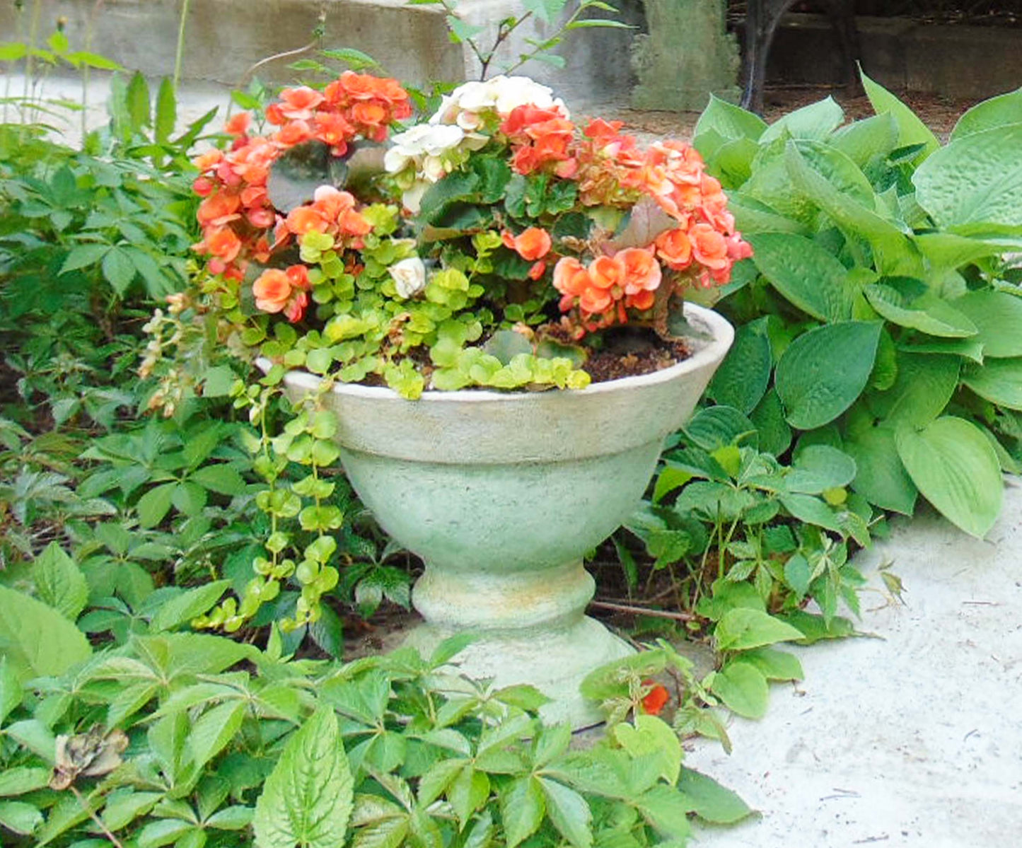 Classic Planter Series