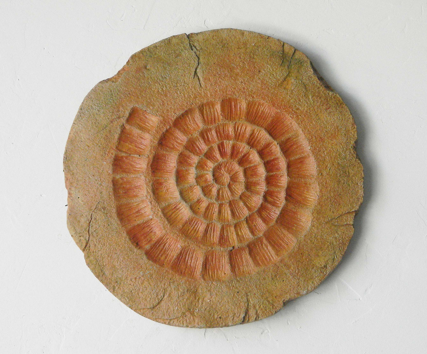 Fossil Wall Plaque