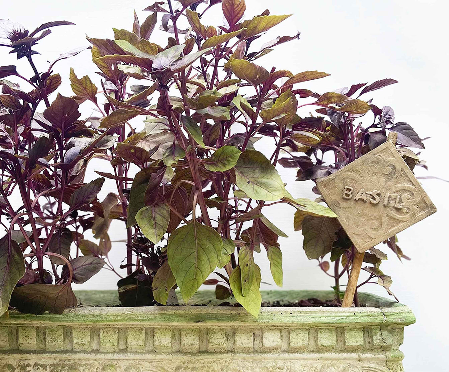 Garden Stakes