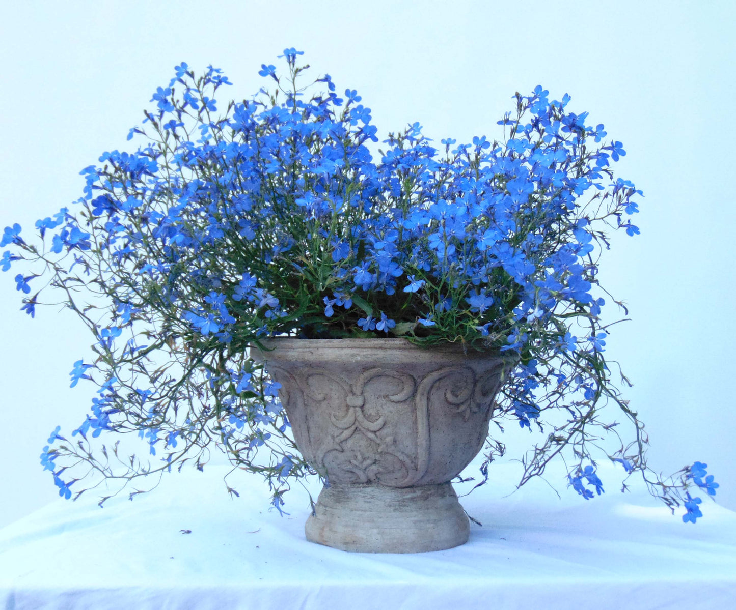 Goblet Pot Series