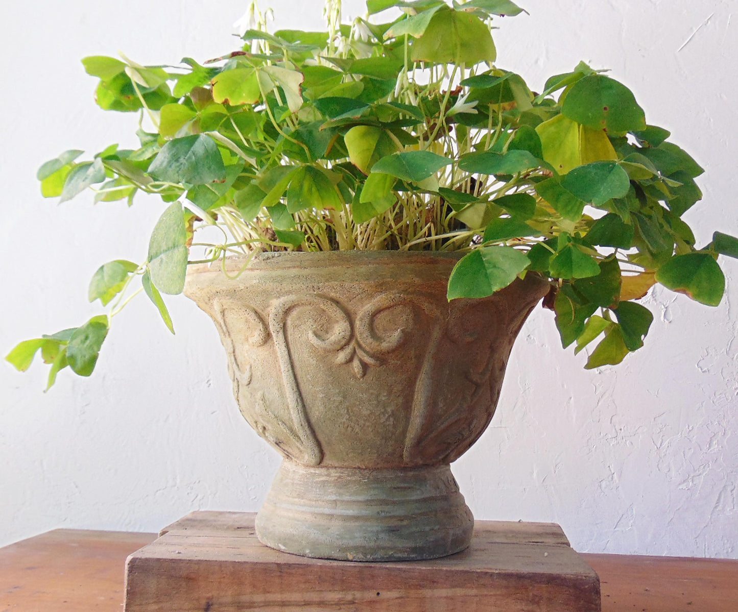 Goblet Pot Series