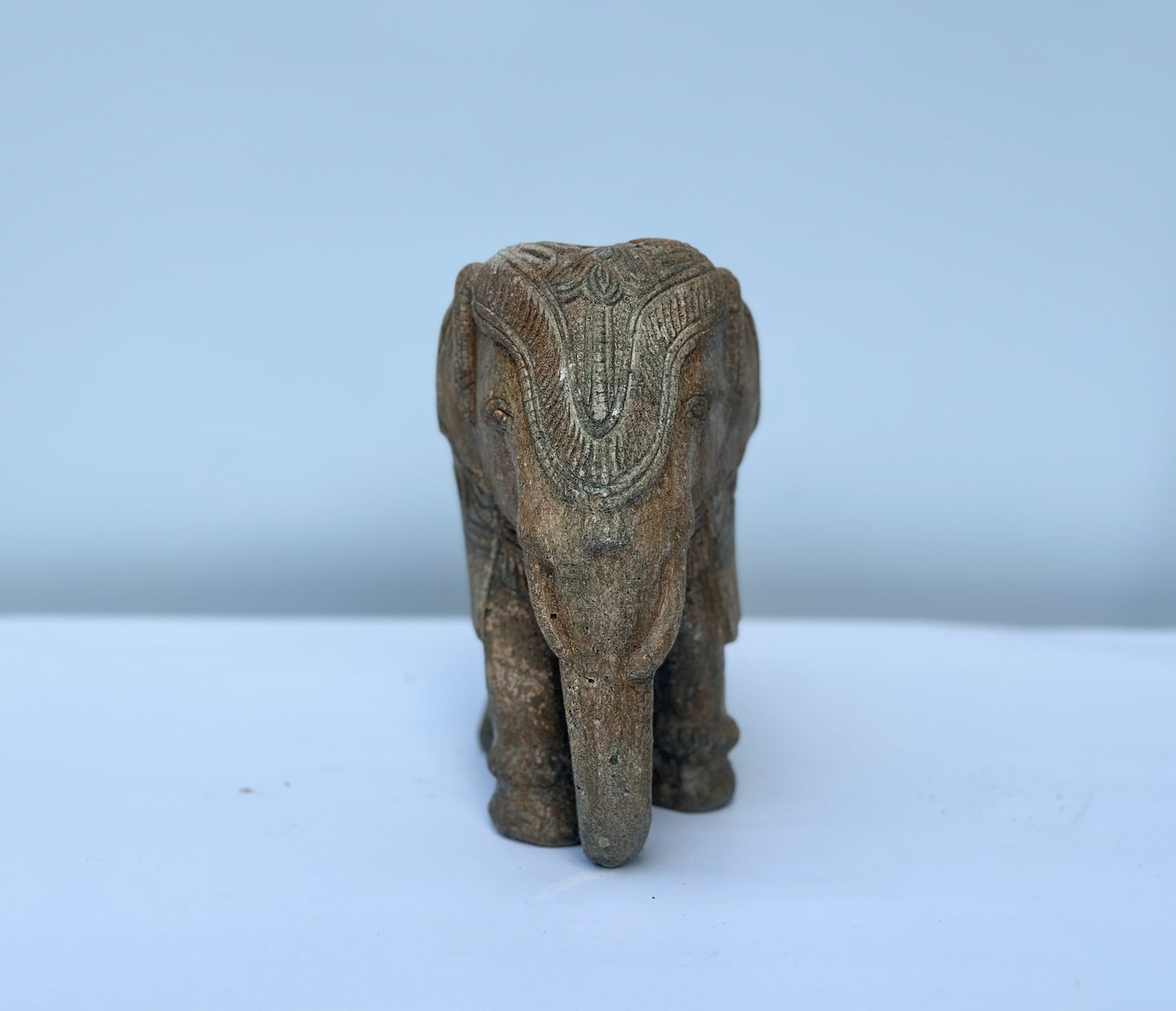 Ornate Elephant