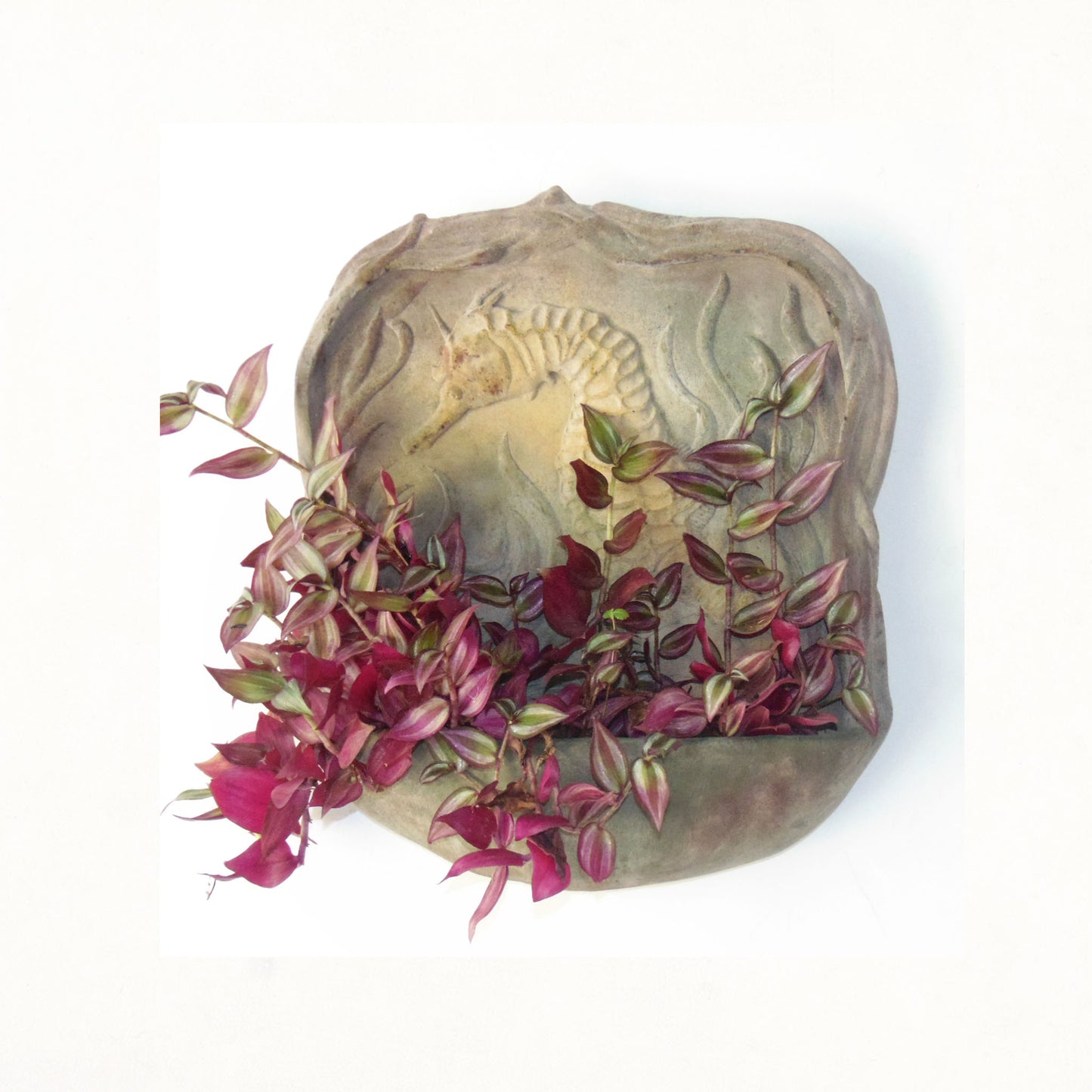 Seahorse Wall Plaque
