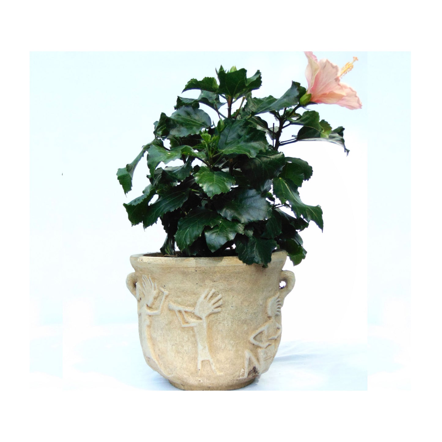 Large Music Pot