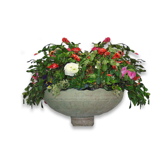 Planter Basin Series