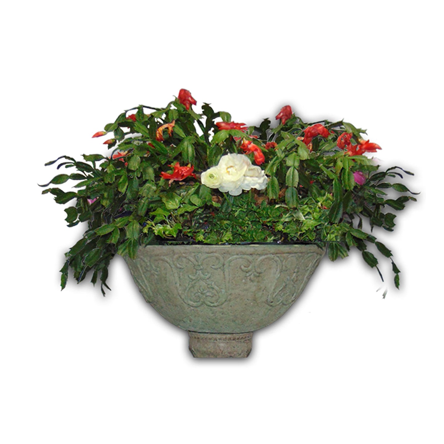 Planter Basin Series
