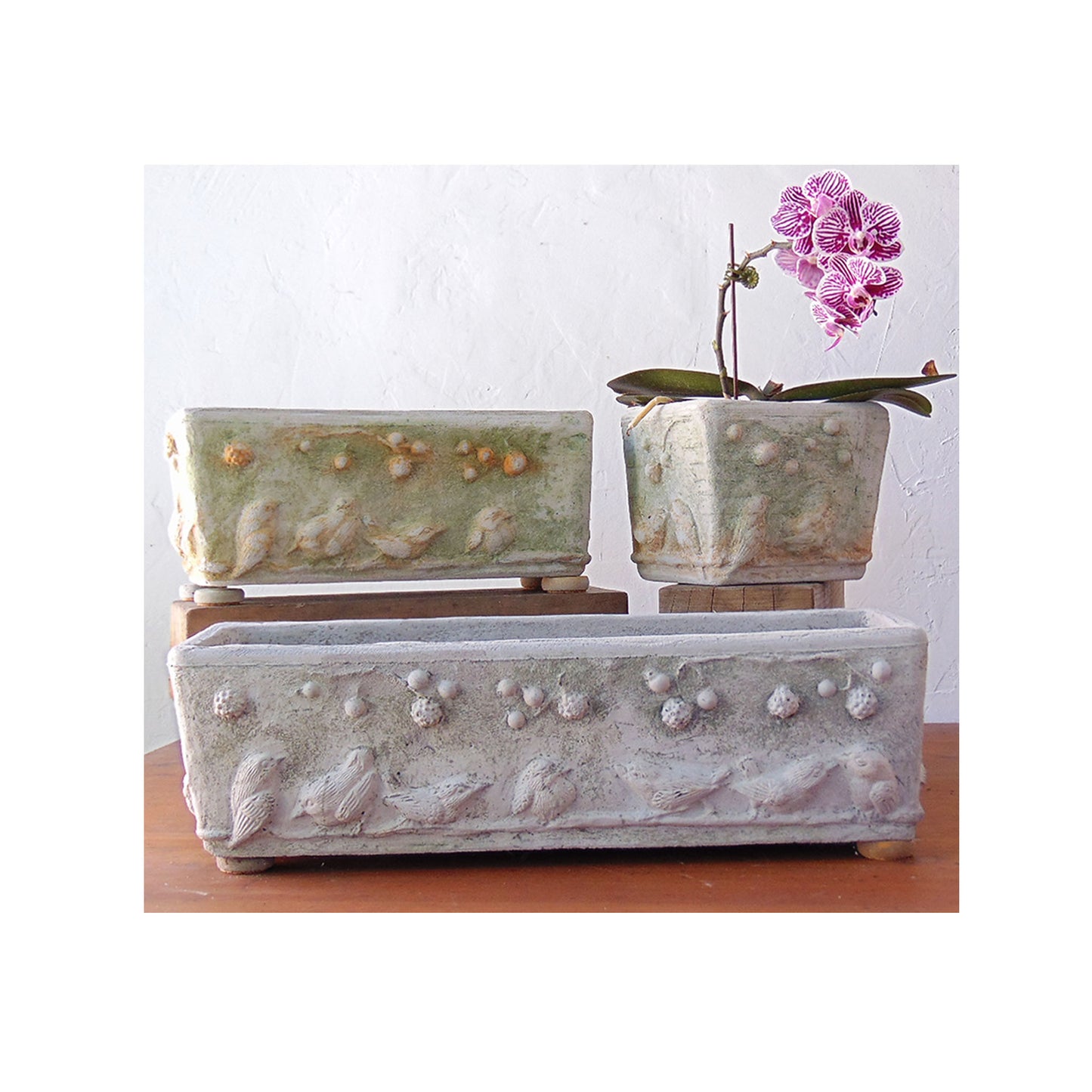 Birds Window Box Series