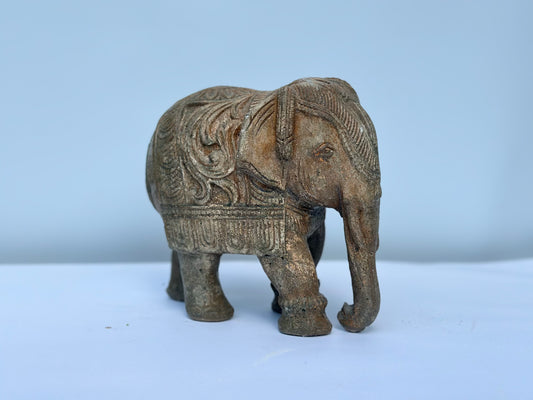 Ornate Elephant