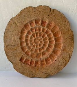 Fossil Wall Plaque